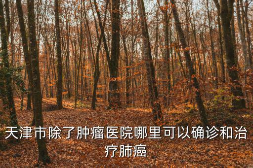 天津市除了腫瘤醫(yī)院哪里可以確診和治療肺癌