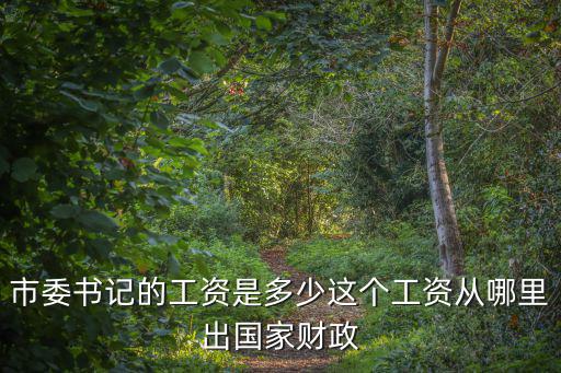 市委書記的工資是多少這個工資從哪里出國家財政