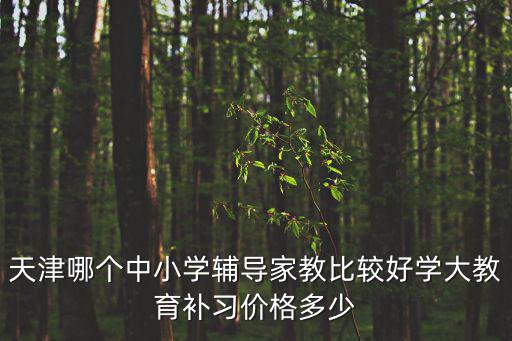 天津哪個中小學輔導家教比較好學大教育補習價格多少