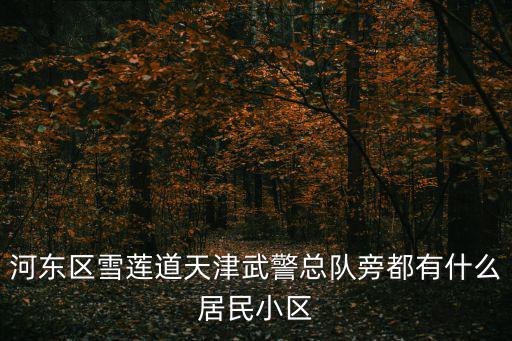 天津市河?xùn)|區(qū)衛(wèi)國(guó)道柏麗花園，河?xùn)|區(qū)雪蓮道天津武警總隊(duì)旁都有什么居民小區(qū)