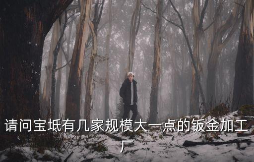 請問寶坻有幾家規模大一點的鈑金加工廠