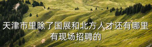天津市里除了國展和北方人才還有哪里有現場招聘的