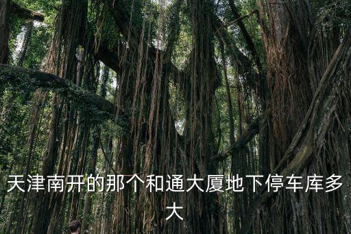 天津南開的那個和通大廈地下停車庫多大