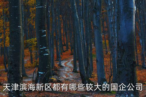 天津濱海新區都有哪些較大的國企公司