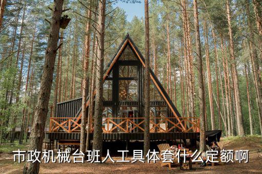 市政機械臺班人工具體套什么定額啊