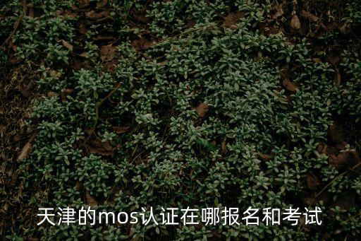 天津的mos認證在哪報名和考試