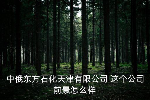 中俄東方石化天津有限公司 這個公司前景怎么樣