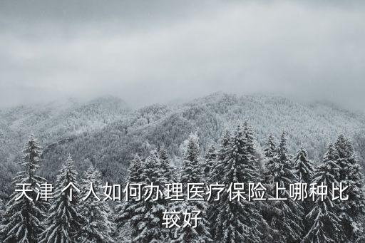天津 個人如何辦理醫療保險上哪種比較好
