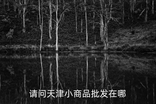 請問天津小商品批發在哪