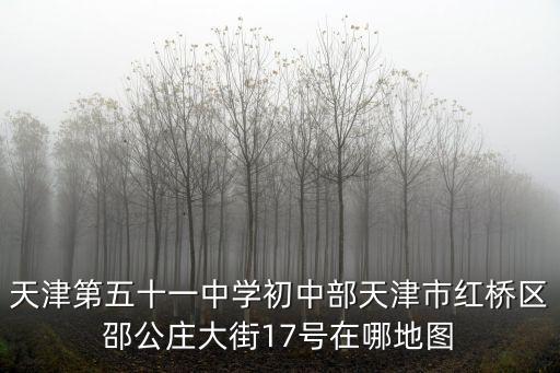 天津第五十一中學初中部天津市紅橋區邵公莊大街17號在哪地圖