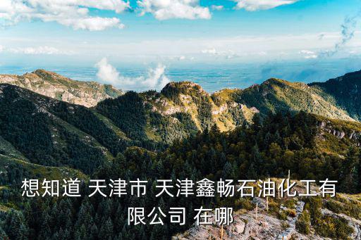 想知道 天津市 天津鑫暢石油化工有限公司 在哪