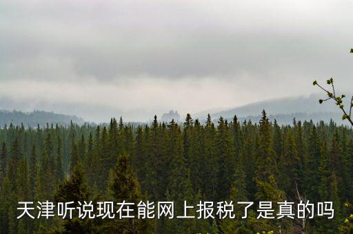 天津聽說現在能網上報稅了是真的嗎