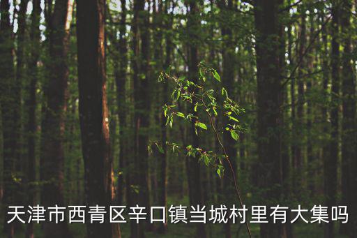 天津市西青區(qū)辛口鎮(zhèn)當(dāng)城中學(xué)，天津市火車站到西青區(qū)辛口鎮(zhèn)當(dāng)城村怎么走啊