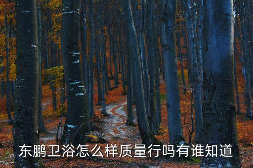 東鵬衛浴怎么樣質量行嗎有誰知道