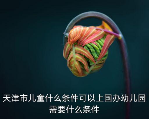 天津市兒童什么條件可以上國辦幼兒園需要什么條件