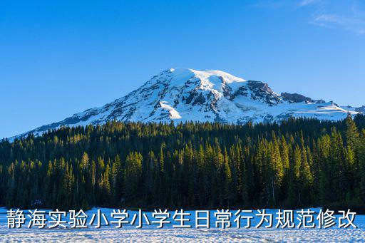靜海實驗小學小學生日常行為規(guī)范修改