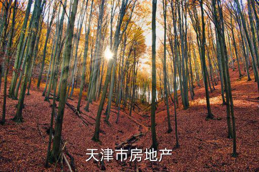 天津市房地產