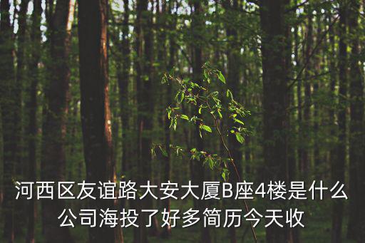 河西區友誼路大安大廈B座4樓是什么公司海投了好多簡歷今天收