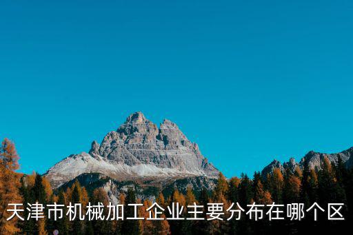 天津市現代化達標設備明細，天津市機械加工企業主要分布在哪個區