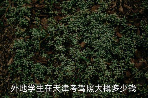 天津市外地人考駕照，我是一個外地人可不可以在天津考駕駛證啊