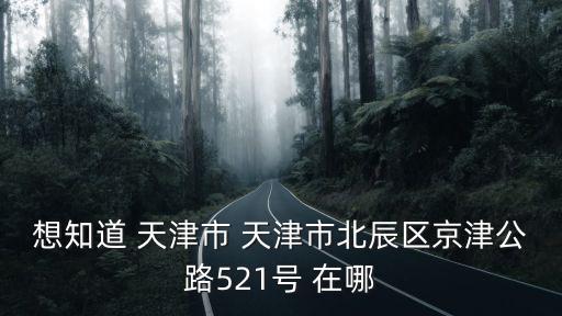 想知道 天津市 天津市北辰區京津公路521號 在哪