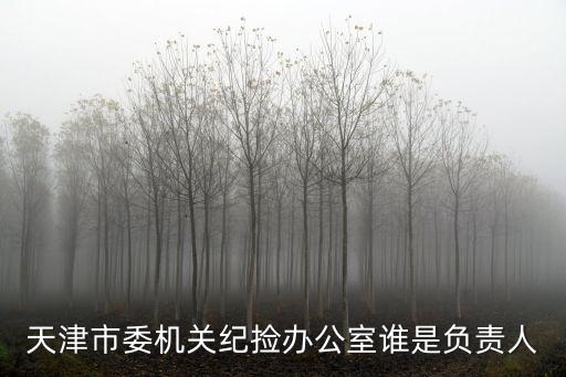 天津市委機關紀撿辦公室誰是負責人