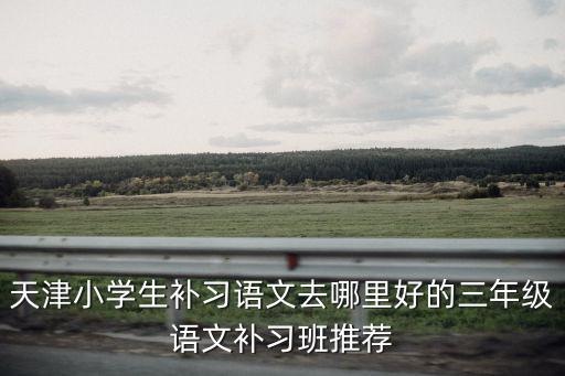 天津小學生補習語文去哪里好的三年級語文補習班推薦