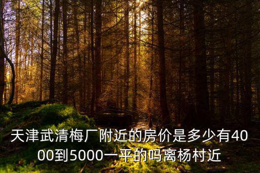 天津武清梅廠附近的房價是多少有4000到5000一平的嗎離楊村近