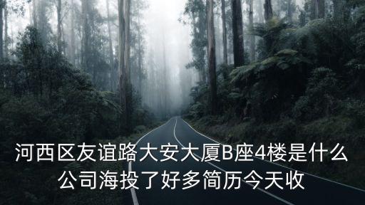 河西區友誼路大安大廈B座4樓是什么公司海投了好多簡歷今天收