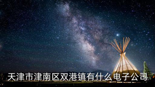 天津市津南區雙港鎮有什么電子公司