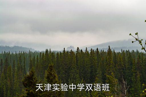 天津實驗中學雙語班