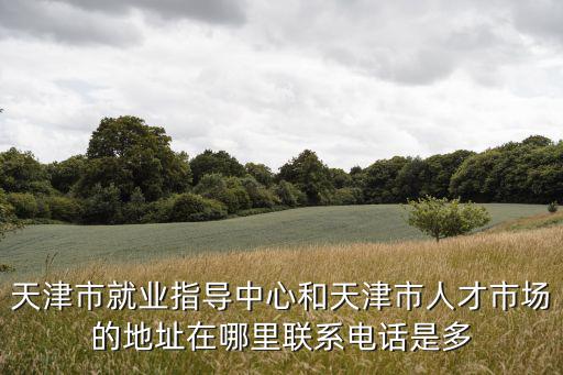 天津市就業指導中心和天津市人才市場的地址在哪里聯系電話是多