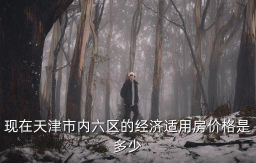 天津市內六區各小區房價，現在天津市內六區的經濟適用房價格是多少