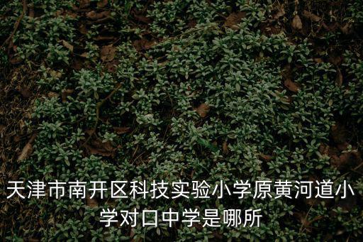 天津市南開區(qū)實驗科技學校，天津市南開區(qū)科技實驗小學原黃河道小學對口中學是哪所