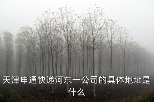 天津申通快遞河東一公司的具體地址是什么