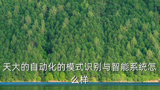 天大的自動化的模式識別與智能系統怎么樣