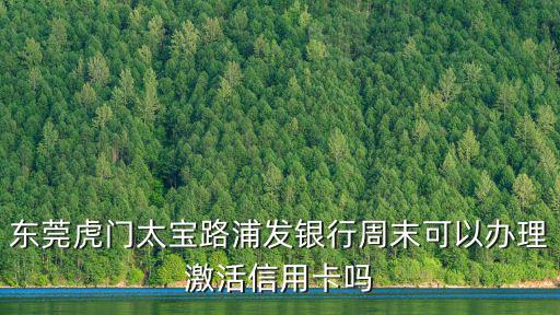 東莞虎門太寶路浦發銀行周末可以辦理激活信用卡嗎
