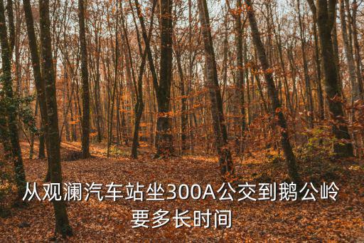 深圳公交300a，從觀瀾汽車站坐300A公交到鵝公嶺要多長時間
