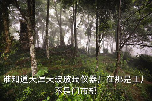 天津市天玻科技有限公司，天津八里臺中天大廈6層是什么公司