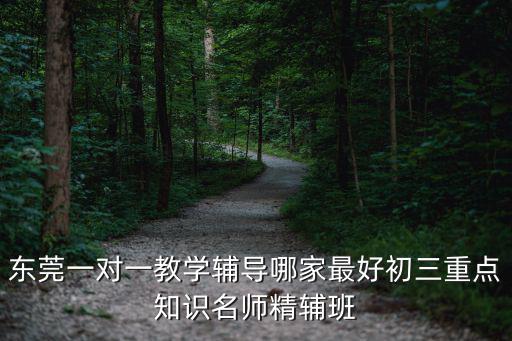 東莞一對一教學輔導哪家最好初三重點知識名師精輔班