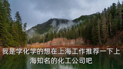 我是學化學的想在上海工作推薦一下上海知名的化工公司吧