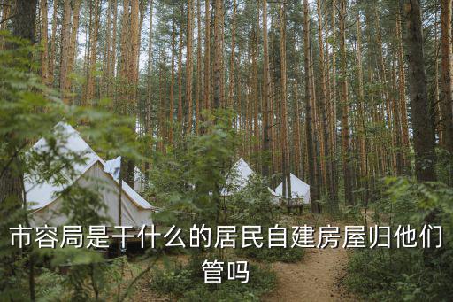 天津市市容局，市容局的主要管理什么