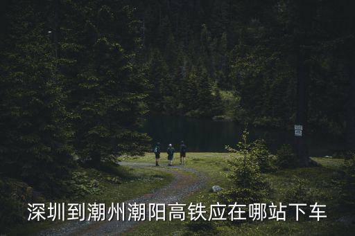 深圳到潮州潮陽高鐵應在哪站下車