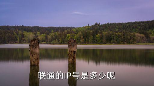 聯通的IP號是多少呢