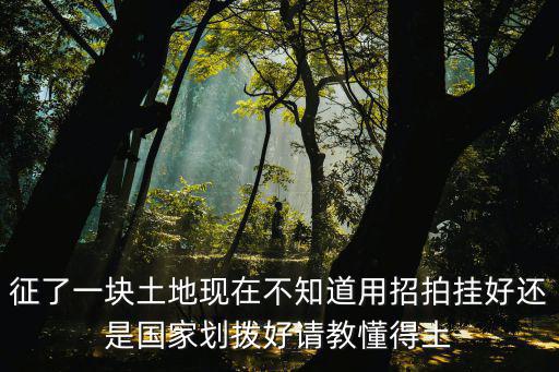 征了一塊土地現在不知道用招拍掛好還是國家劃撥好請教懂得土