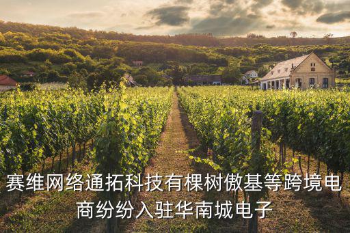 賽維網(wǎng)絡(luò)通拓科技有棵樹傲基等跨境電商紛紛入駐華南城電子