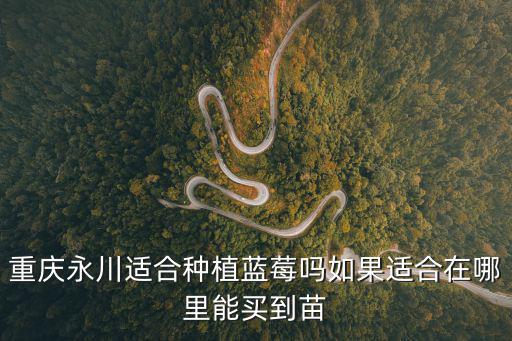 重慶永川適合種植藍莓嗎如果適合在哪里能買到苗
