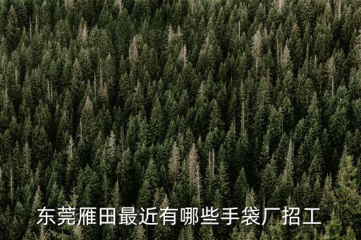東莞雁田最近有哪些手袋廠招工