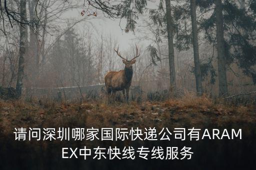 請問深圳哪家國際快遞公司有ARAMEX中東快線專線服務