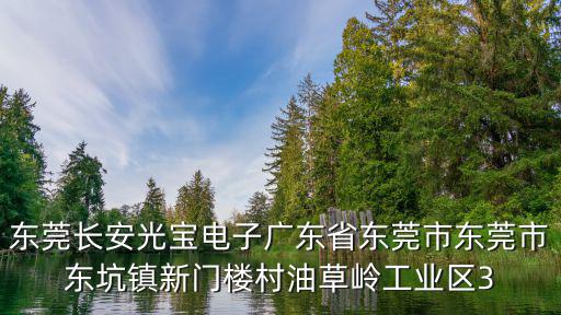 東莞長安光寶電子廣東省東莞市東莞市東坑鎮新門樓村油草嶺工業區3